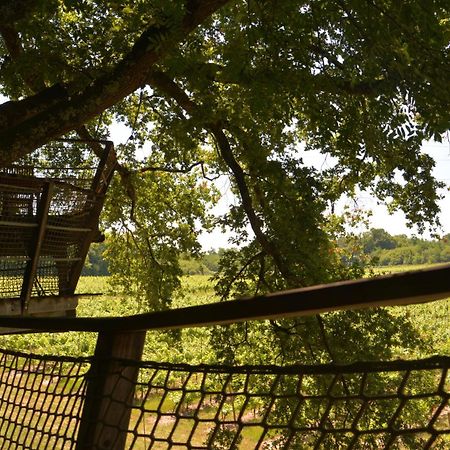 Cabanes De La Romaningue Pompignac Kültér fotó